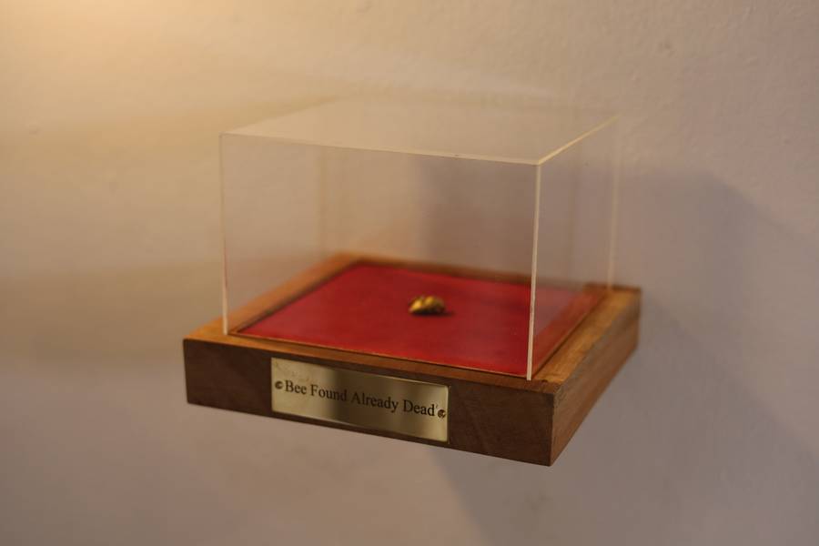 Specimen Fine Art Sculpture Pedro De Sousa Serafim - Subjektiv.art