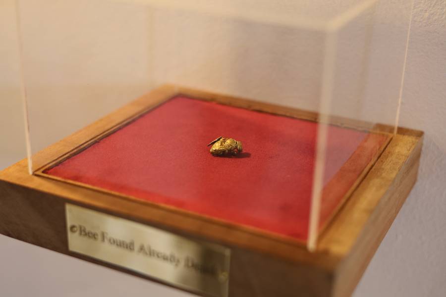 Specimen Fine Art Sculpture Pedro De Sousa Serafim - Subjektiv.art