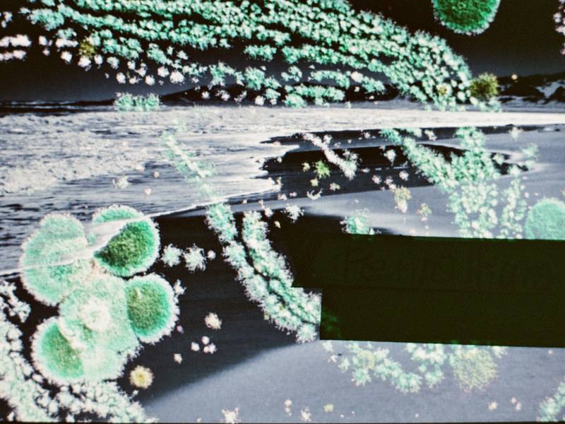 Penicillium - Limited Edition 1/7  - Subjektiv.art