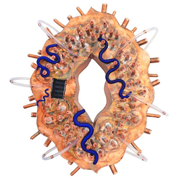 Milkweed seed Abstract Sculpture Tanbelia artist - Subjektiv.art