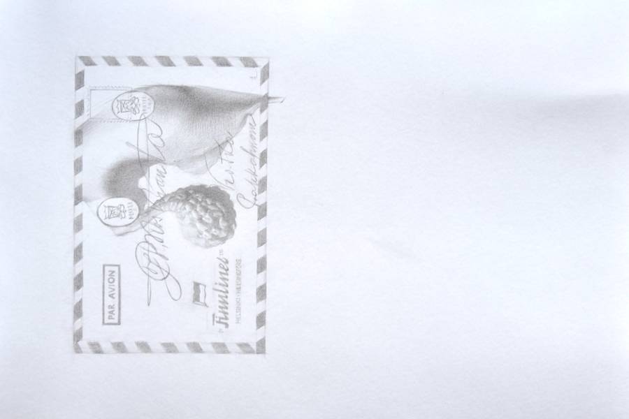 Manifest Organic Drawing Yuliia Holub - Subjektiv.art