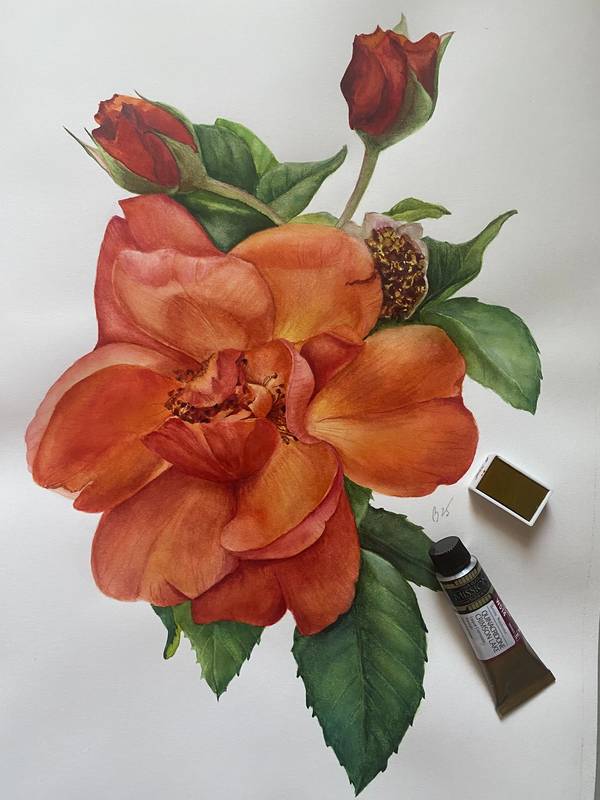 Fire summer rose Photorealistic Painting Viktoriia Kolesnykova - Subjektiv.art
