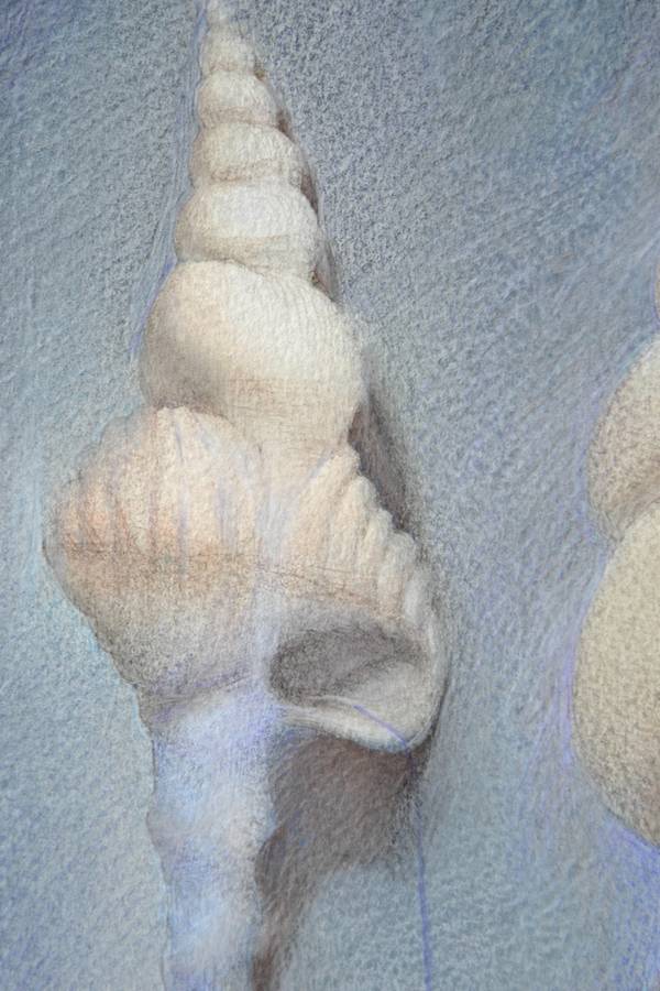Shell Watercolor Sketch (2025) Fine Art Painting Yuliia Holub - Subjektiv.art