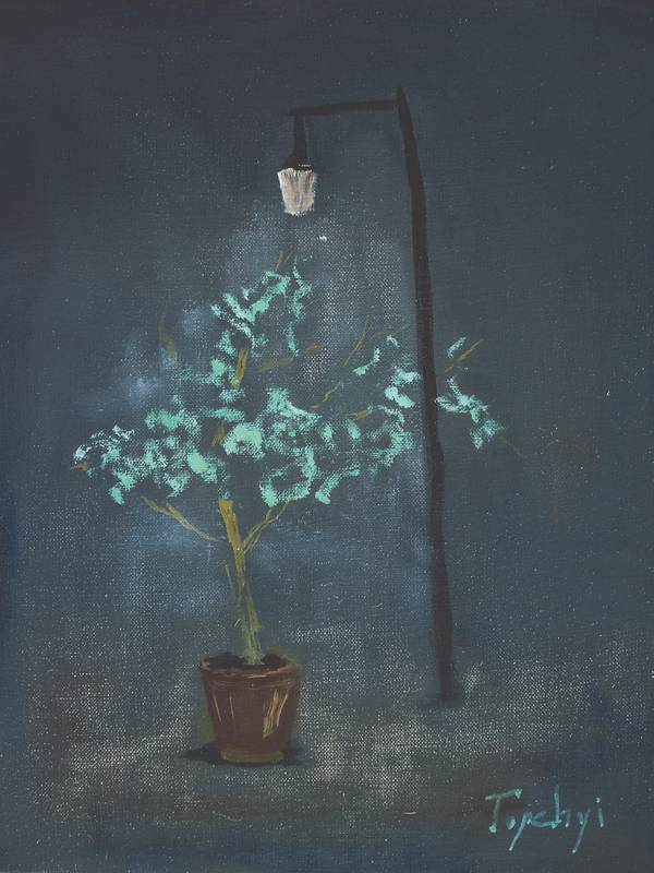 Olive tree and lantern  - Subjektiv.art