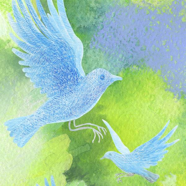 Finding of harmony in flower bliss Fine Art Prints Lana Korolievskaia - Subjektiv.art