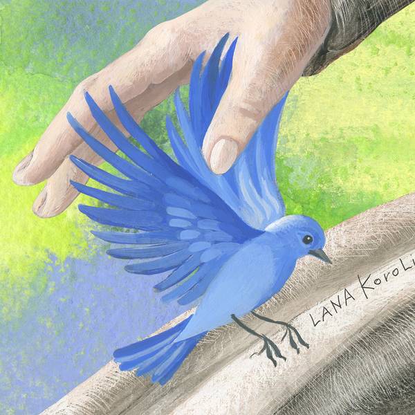 Finding of harmony in flower bliss Fine Art Prints Lana Korolievskaia - Subjektiv.art