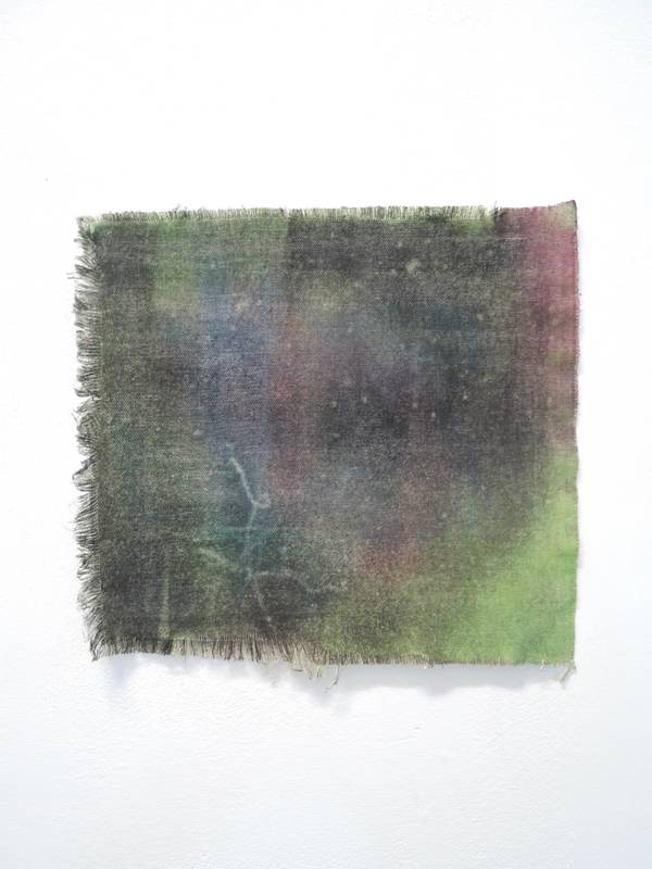 The stain breathes (insects inside wood)  - Subjektiv.art
