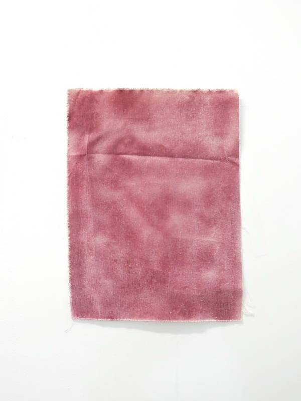 Pollen, fold  - Subjektiv.art