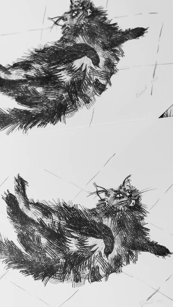 Murashka (an Ant) Graphic, illustrative and typographic Engraving Olha Hnativ - Subjektiv.art