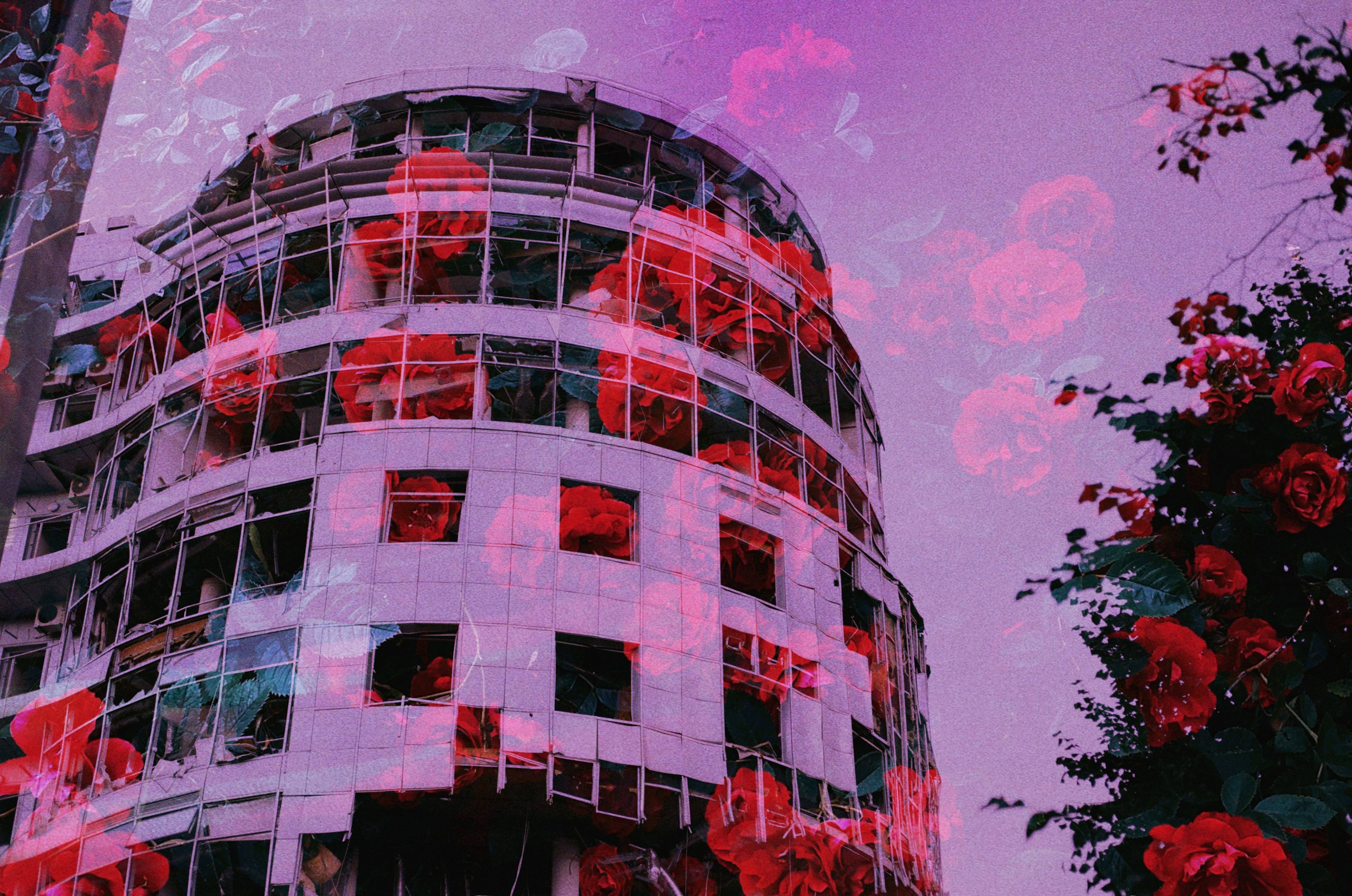 Alarm  - Subjektiv.art