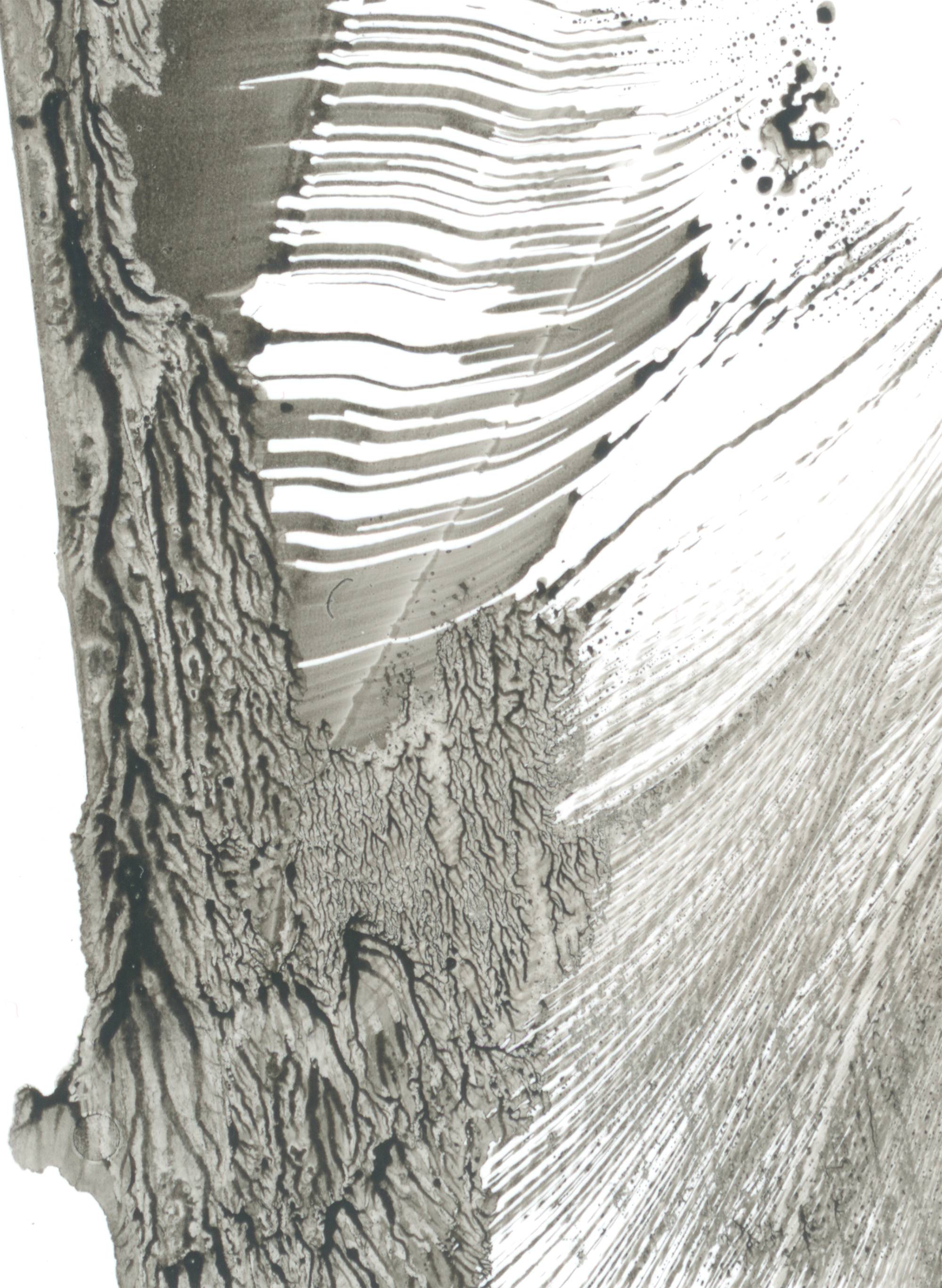 Mysterious stranger Fine Art Drawing Lana Korolievskaia - Subjektiv.art
