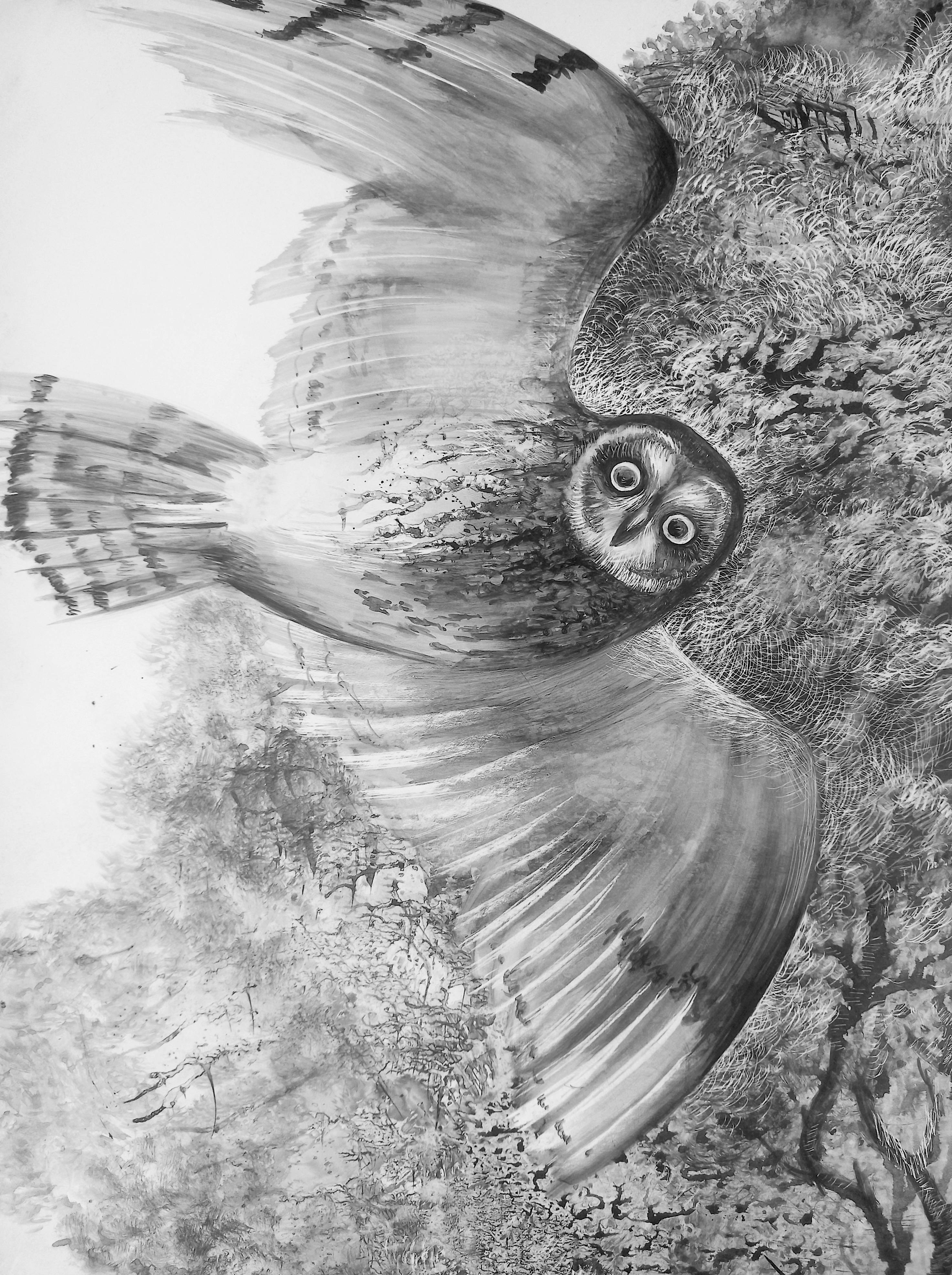 Owls Fine Art Drawing Lana Korolievskaia - Subjektiv.art