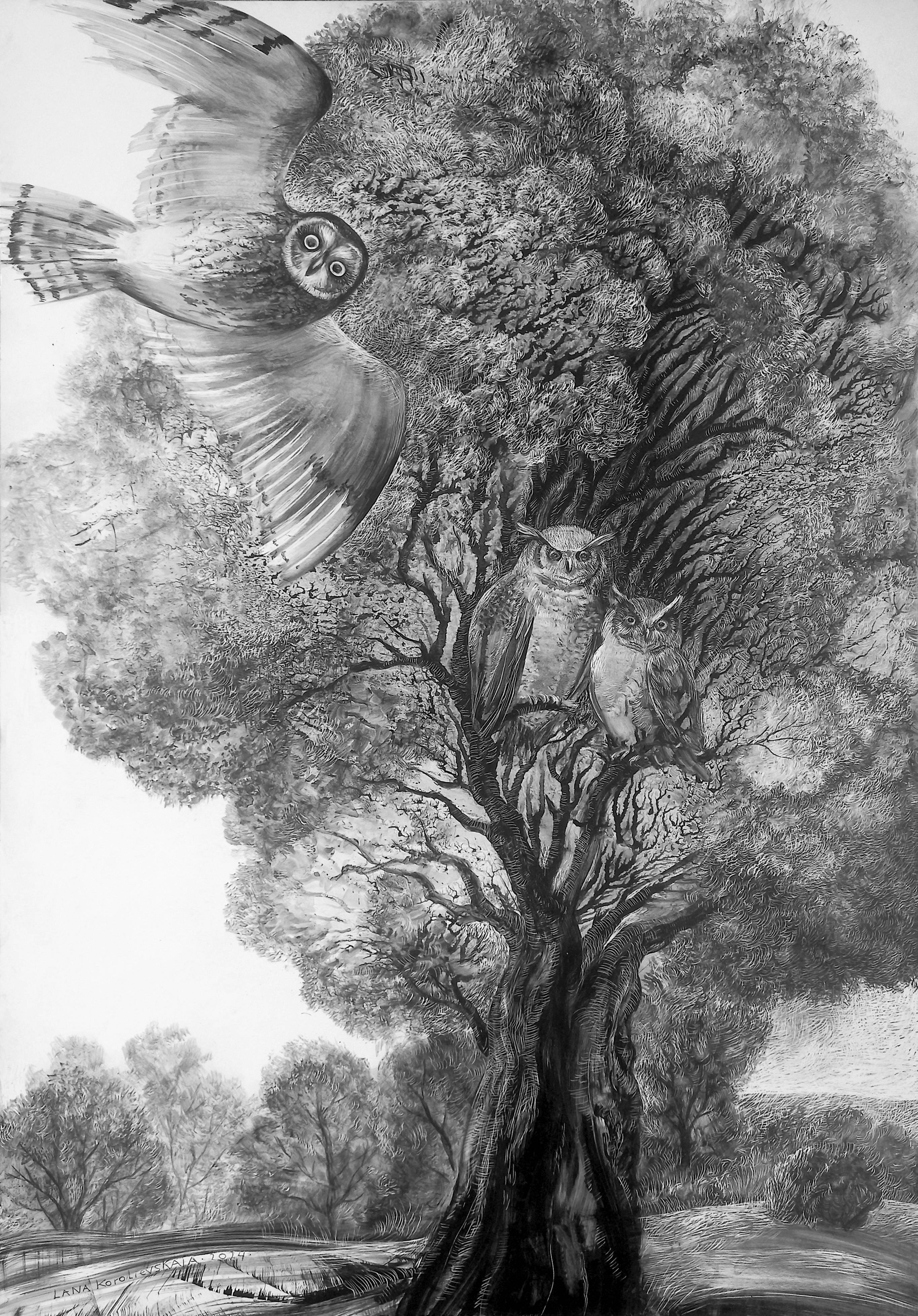 Owls - Subjektiv.art