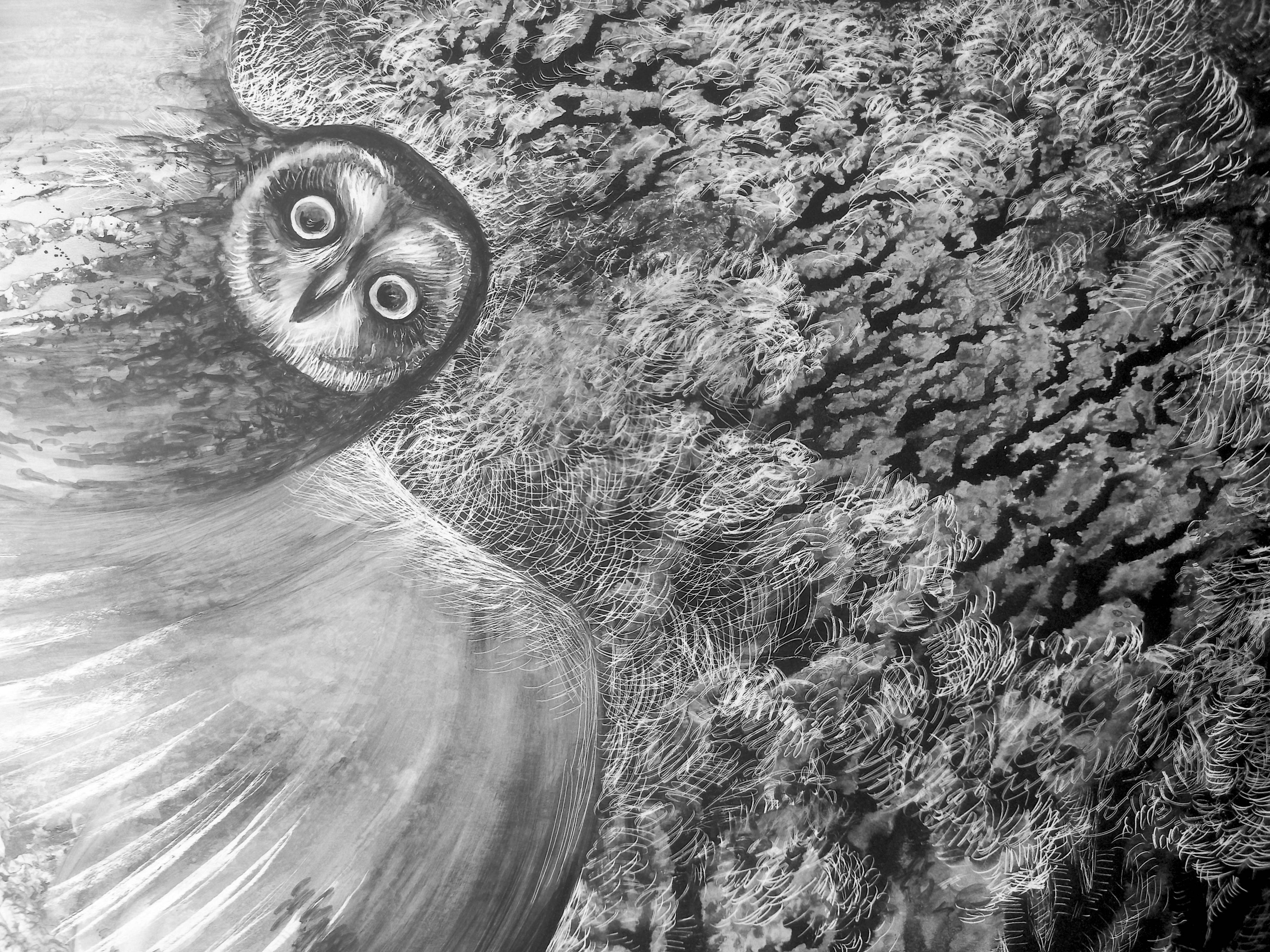 Owls Fine Art Drawing Lana Korolievskaia - Subjektiv.art