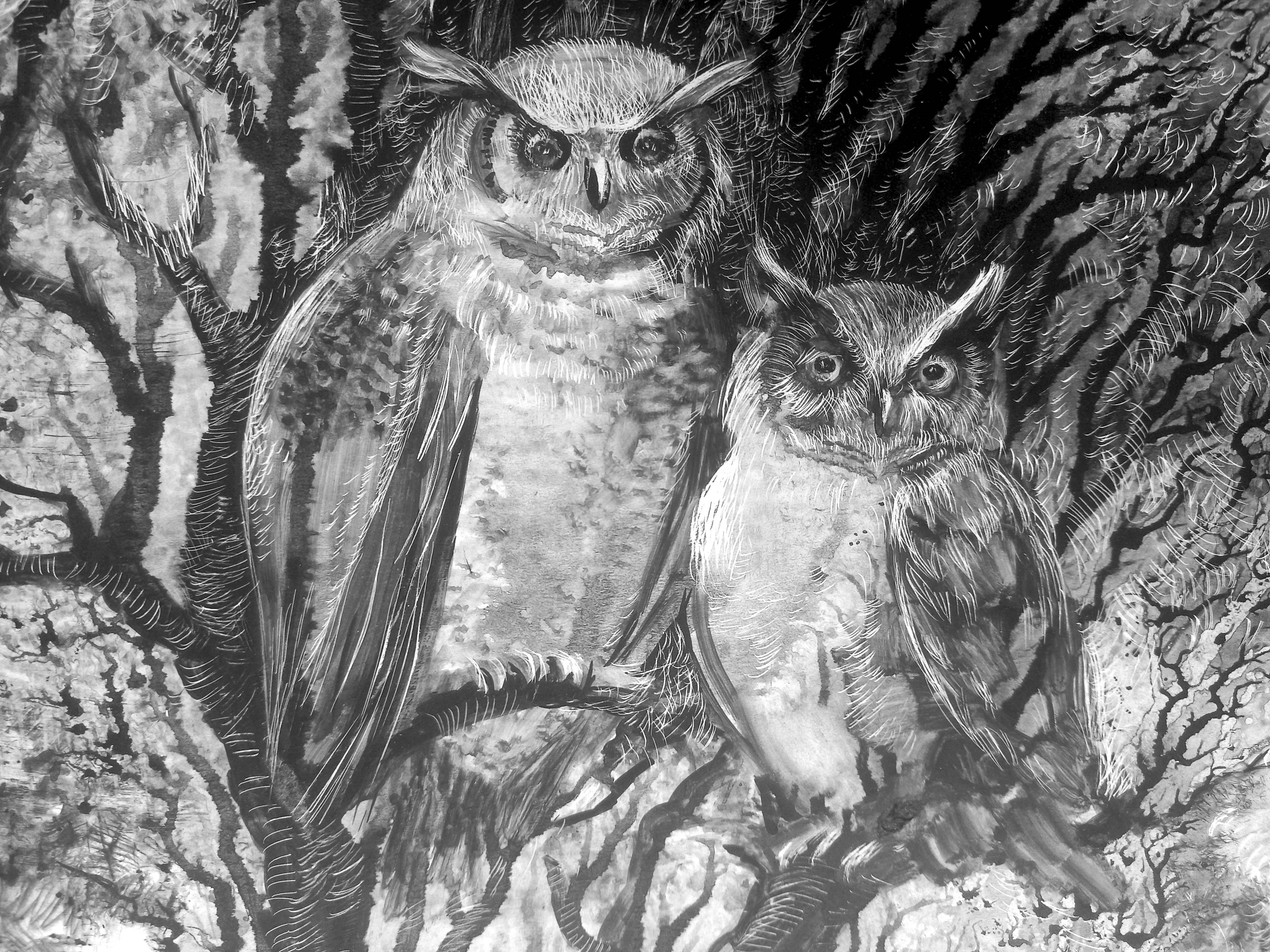 Owls Fine Art Drawing Lana Korolievskaia - Subjektiv.art
