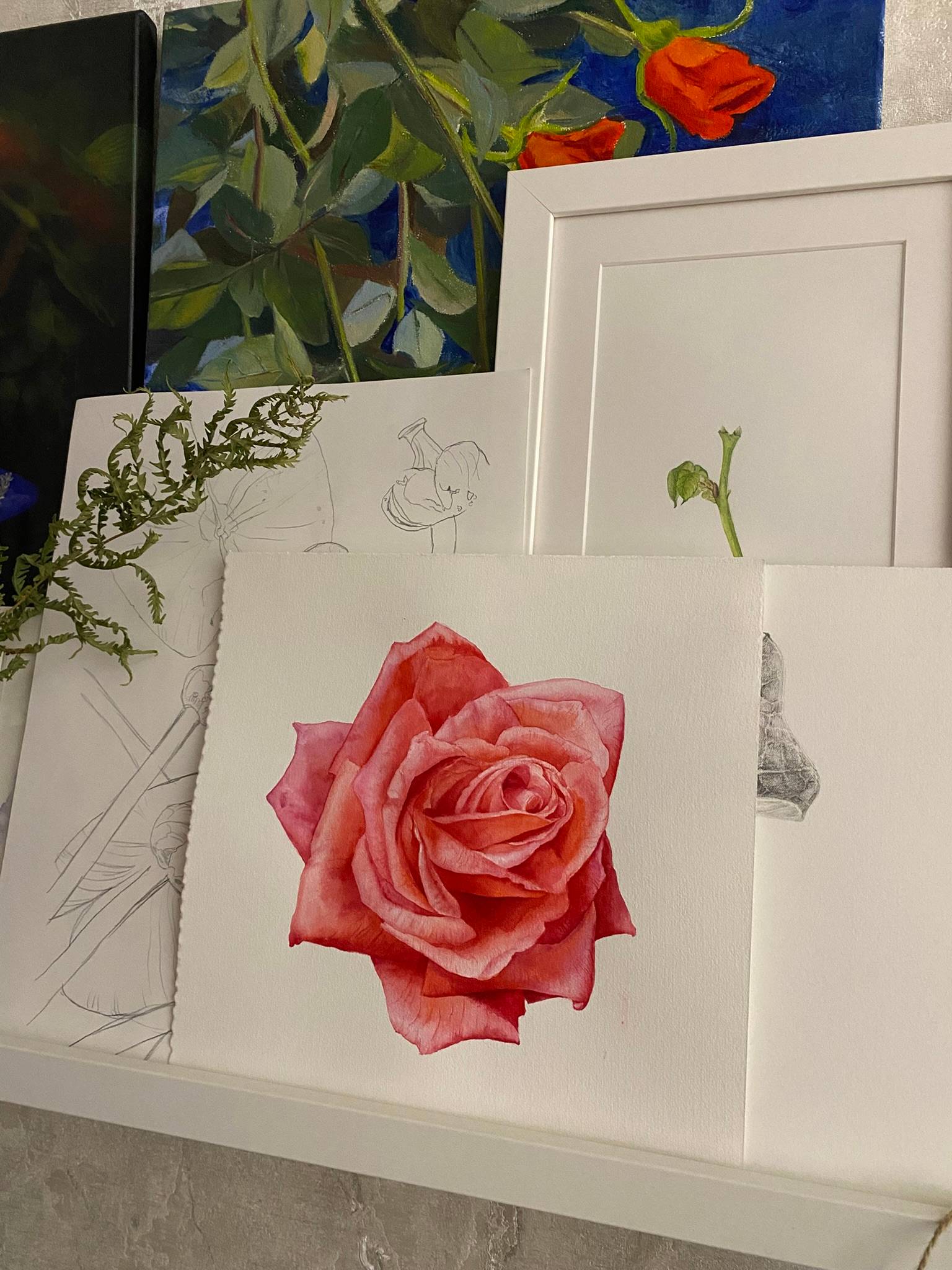 Pink rose in the sunlight Photorealistic Painting Viktoriia Kolesnykova - Subjektiv.art