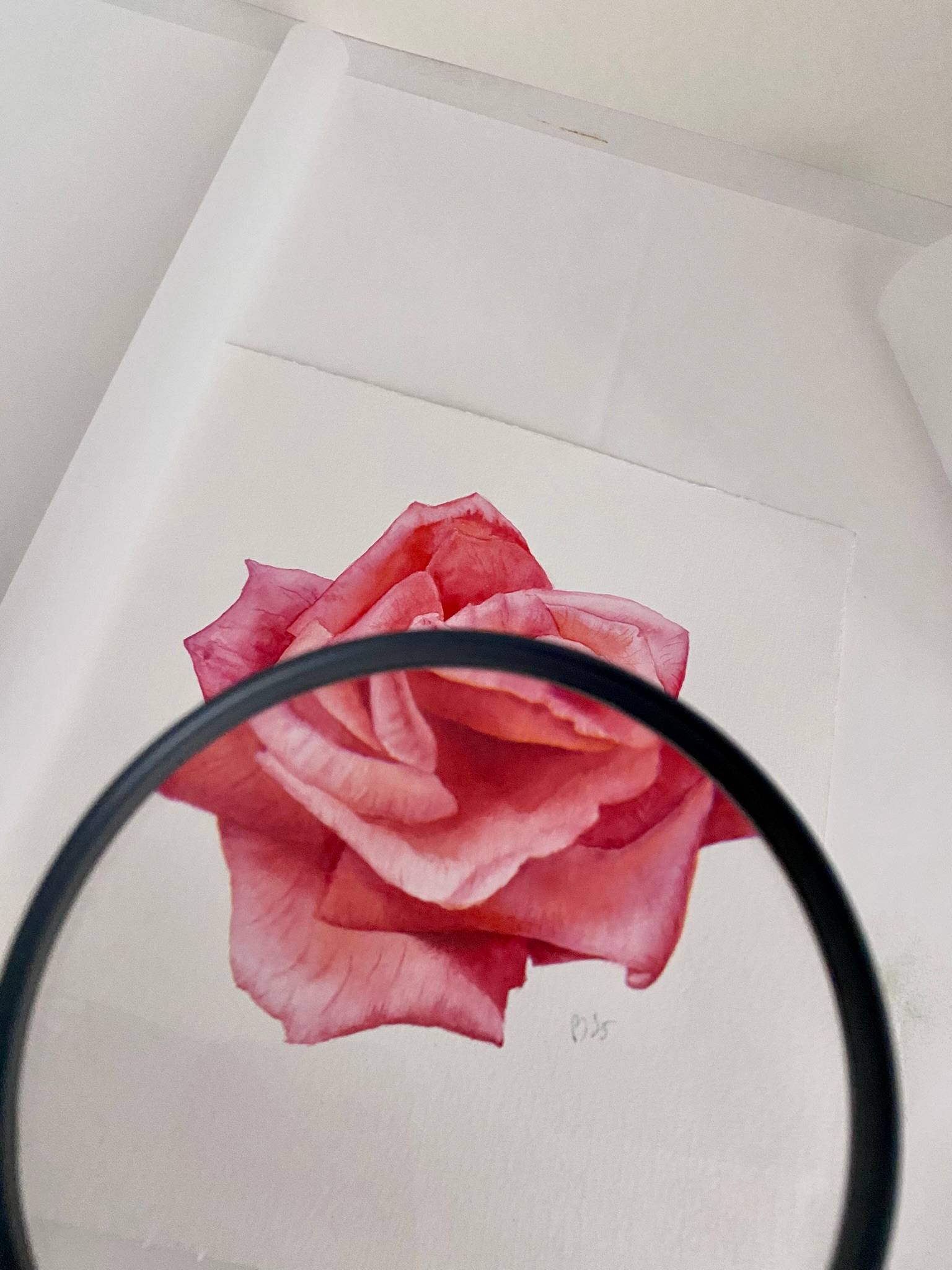 Pink rose in the sunlight Photorealistic Painting Viktoriia Kolesnykova - Subjektiv.art