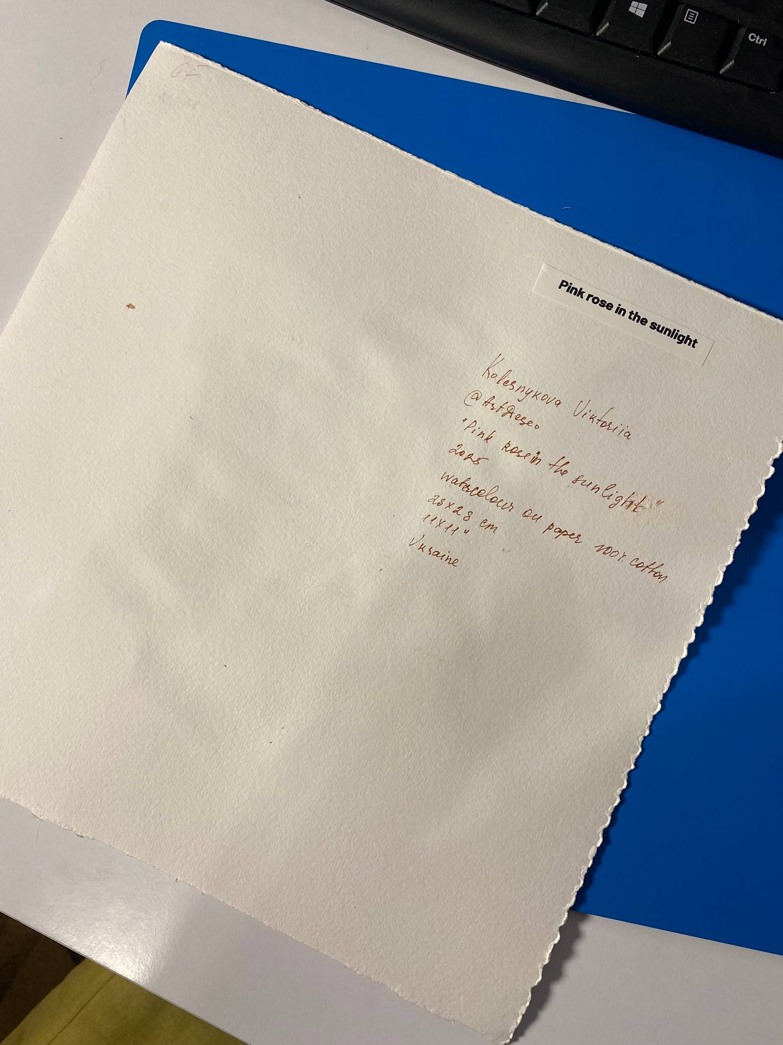 Pink rose in the sunlight Photorealistic Painting Viktoriia Kolesnykova - Subjektiv.art