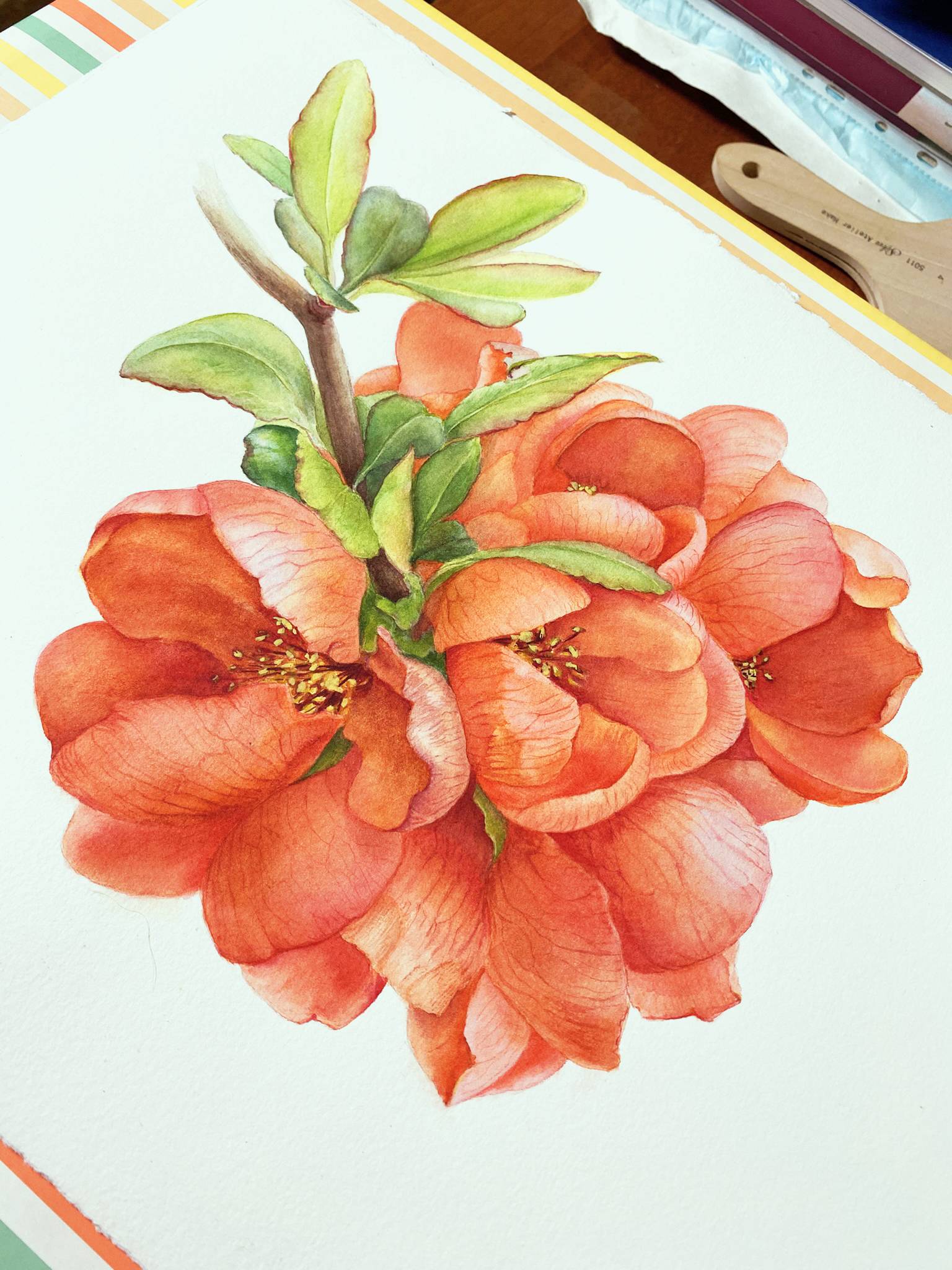 Chaenomeles japonica Photorealistic Painting Viktoriia Kolesnykova - Subjektiv.art