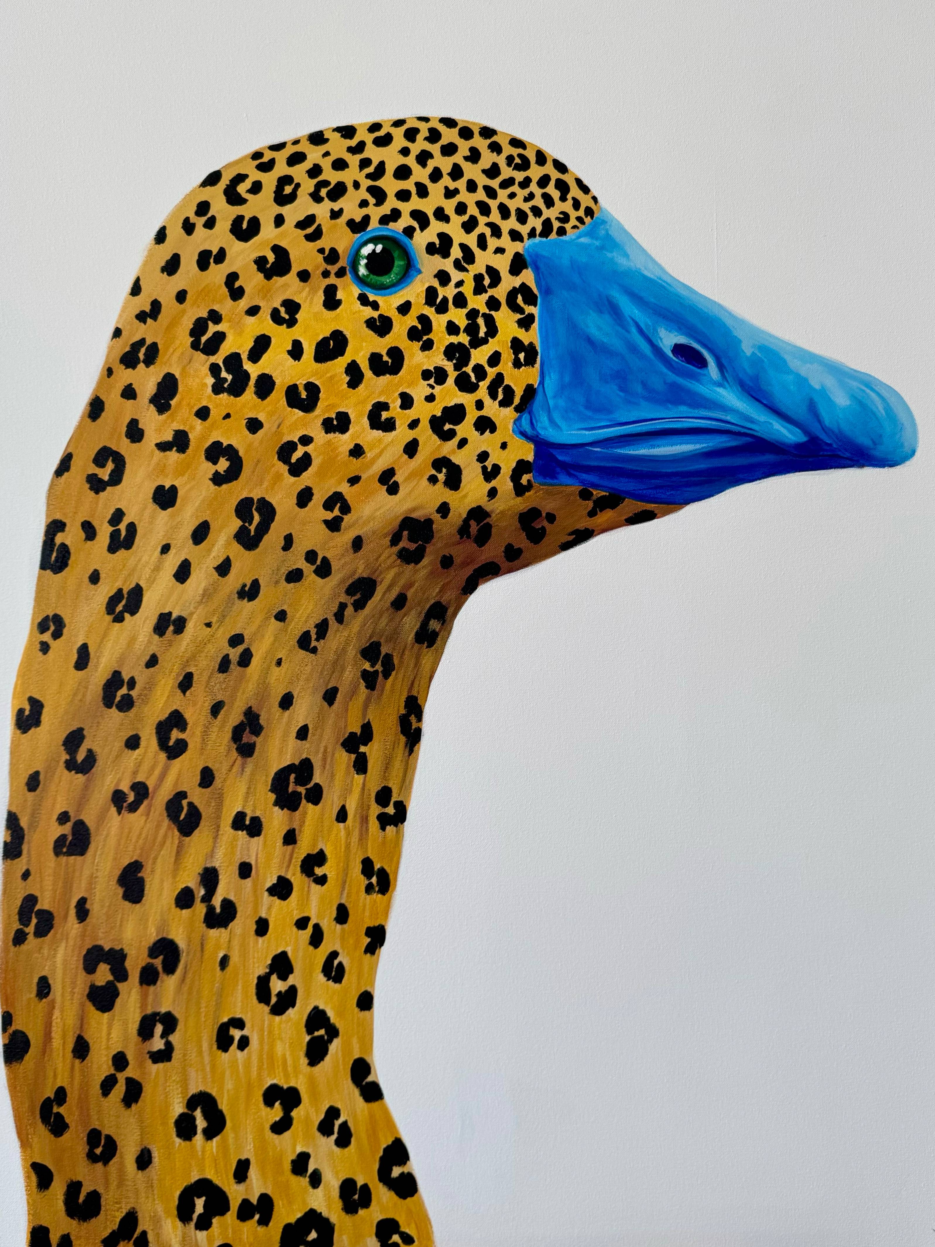Animals and birds