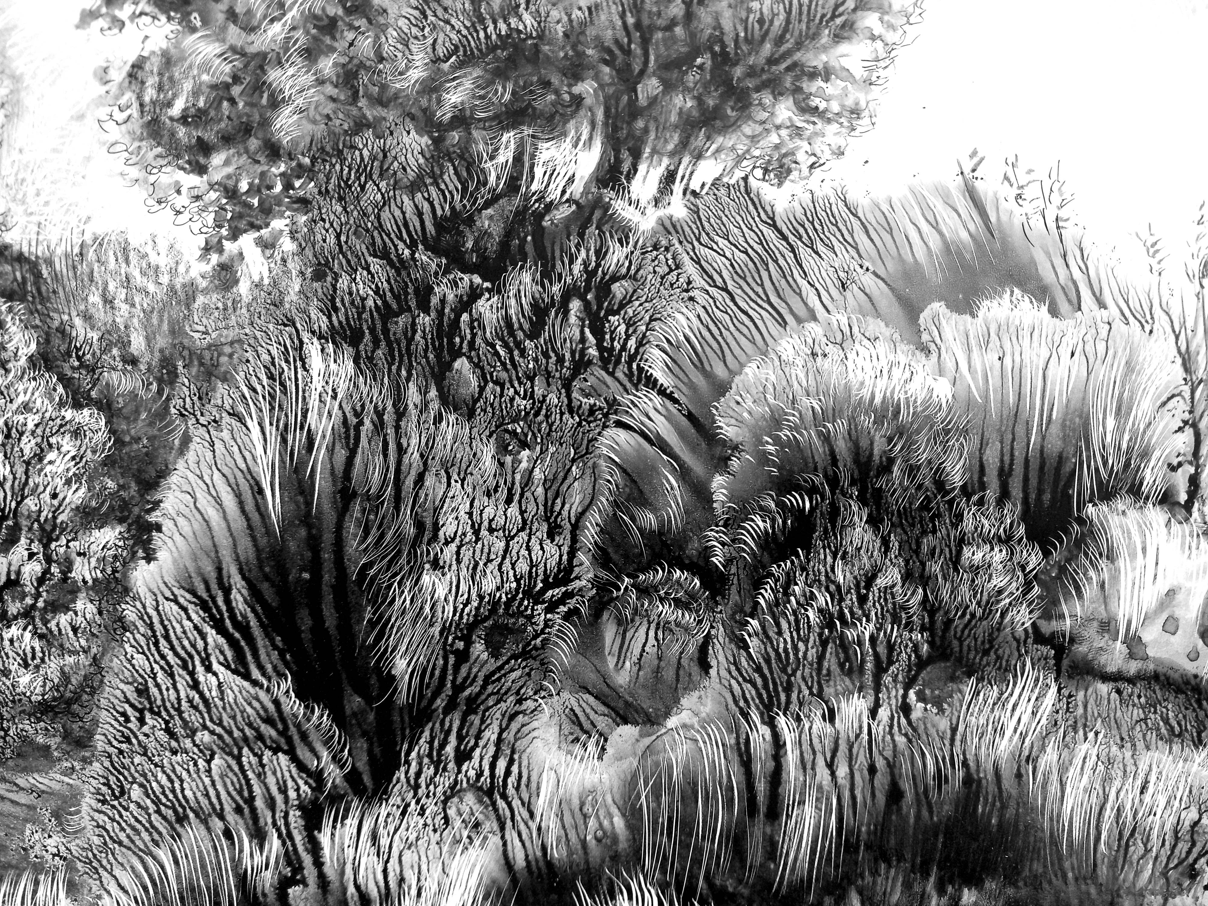 Quiet backwater Fine Art Drawing Lana Korolievskaia - Subjektiv.art