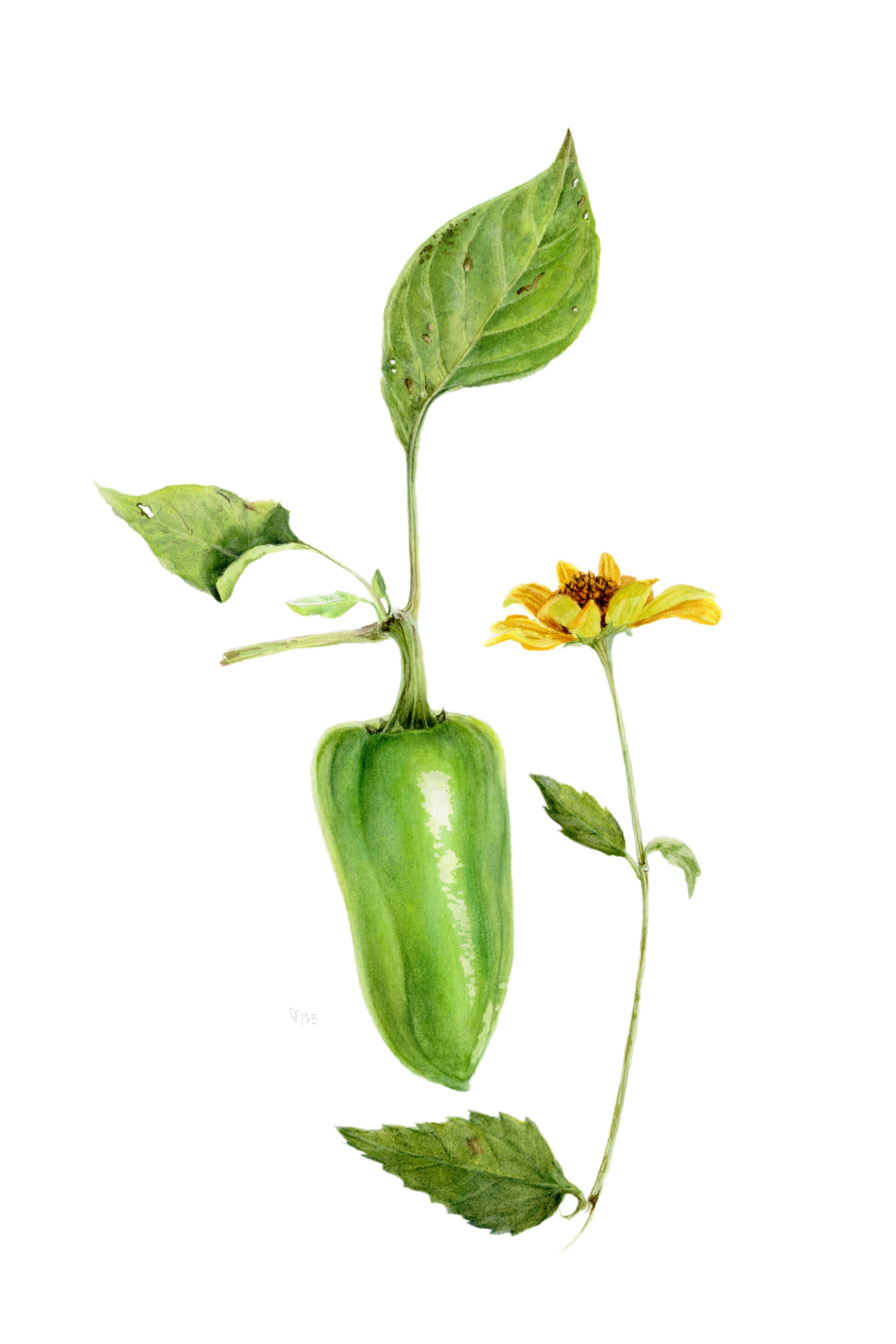 Summer Conversation Photorealistic Painting Viktoriia Kolesnykova - Subjektiv.art