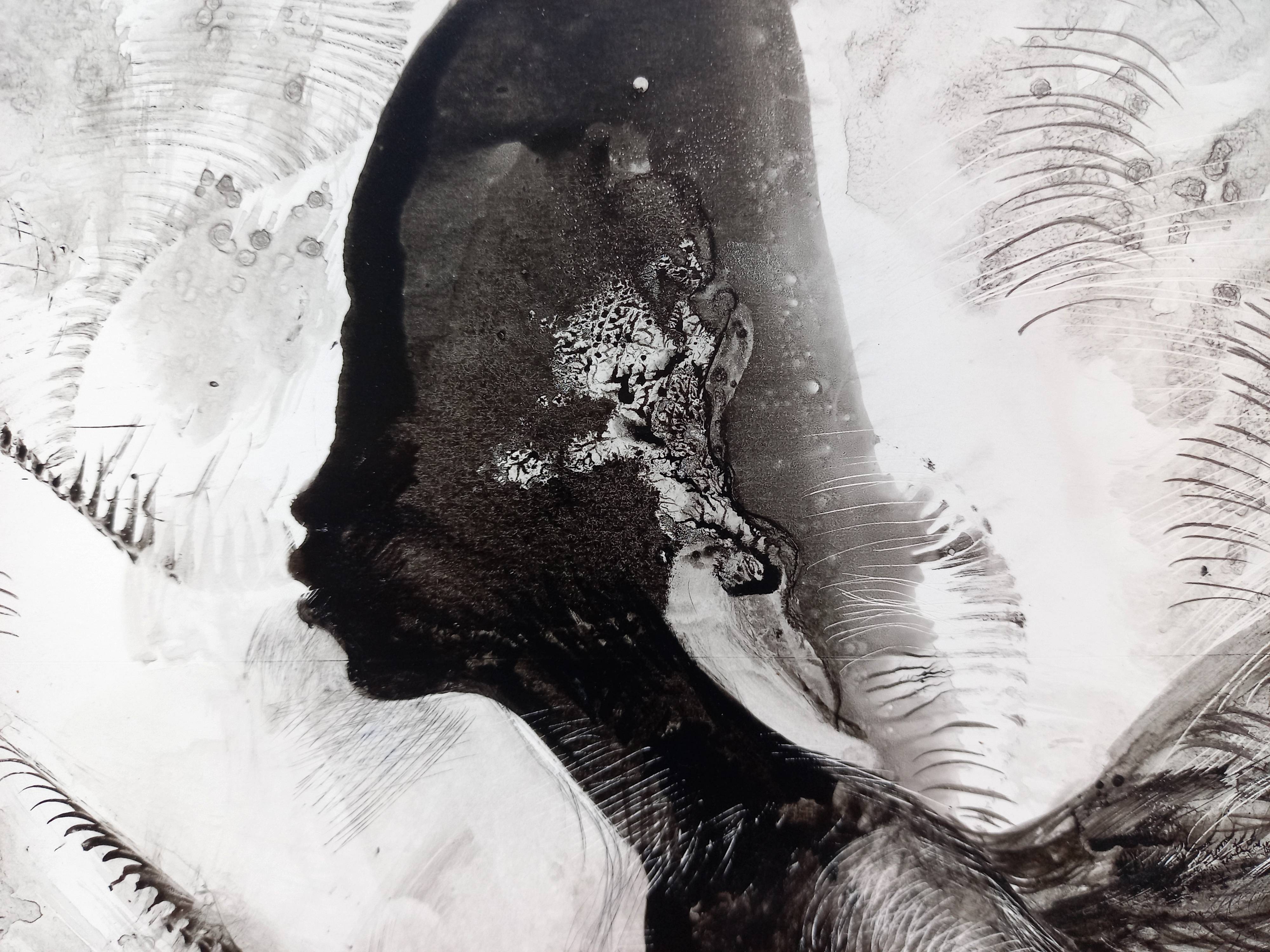 Transformation Fine Art Drawing Lana Korolievskaia - Subjektiv.art