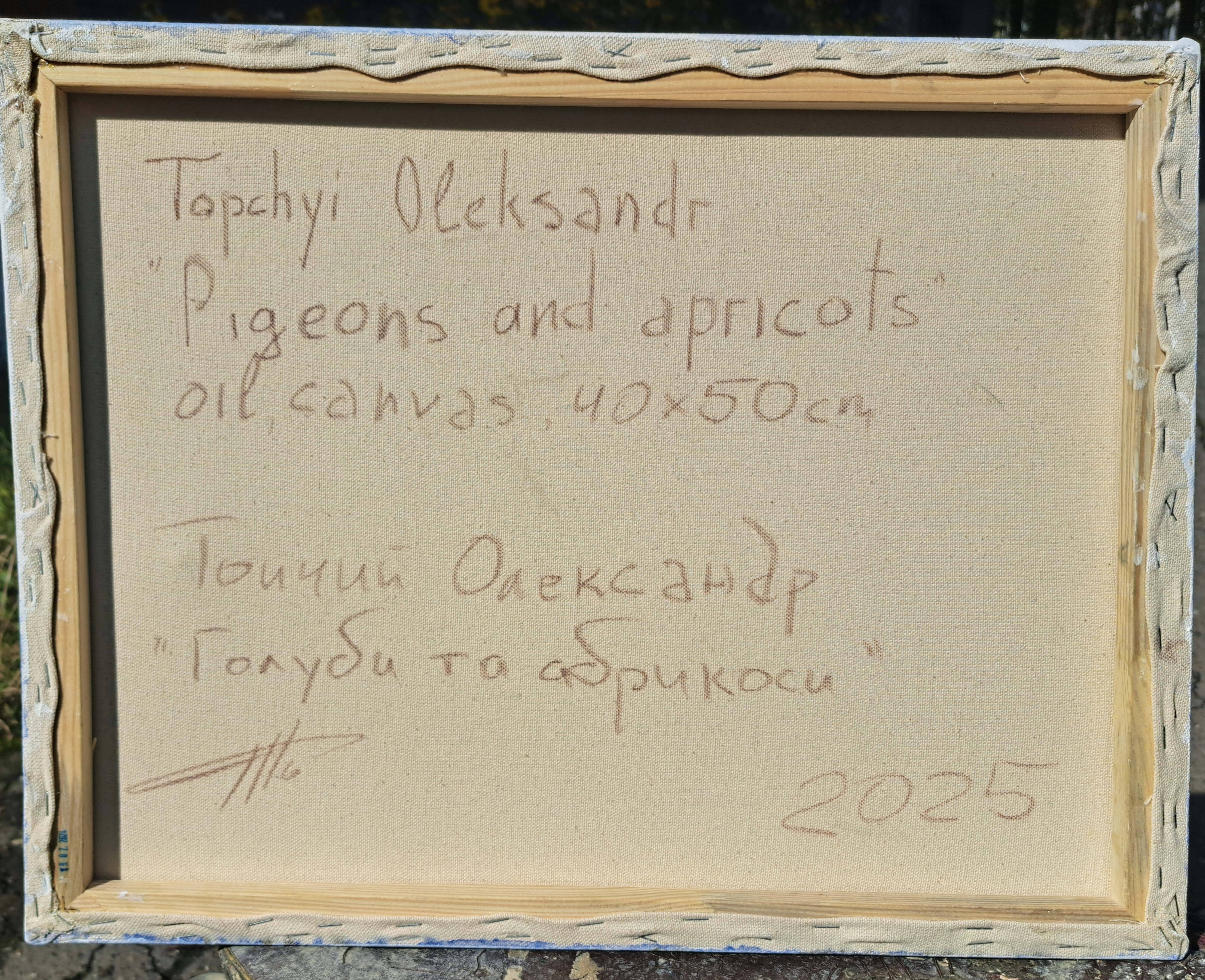Pigeons and apricots Expressive and gestural Painting Oleksandr Topchyi - Subjektiv.art