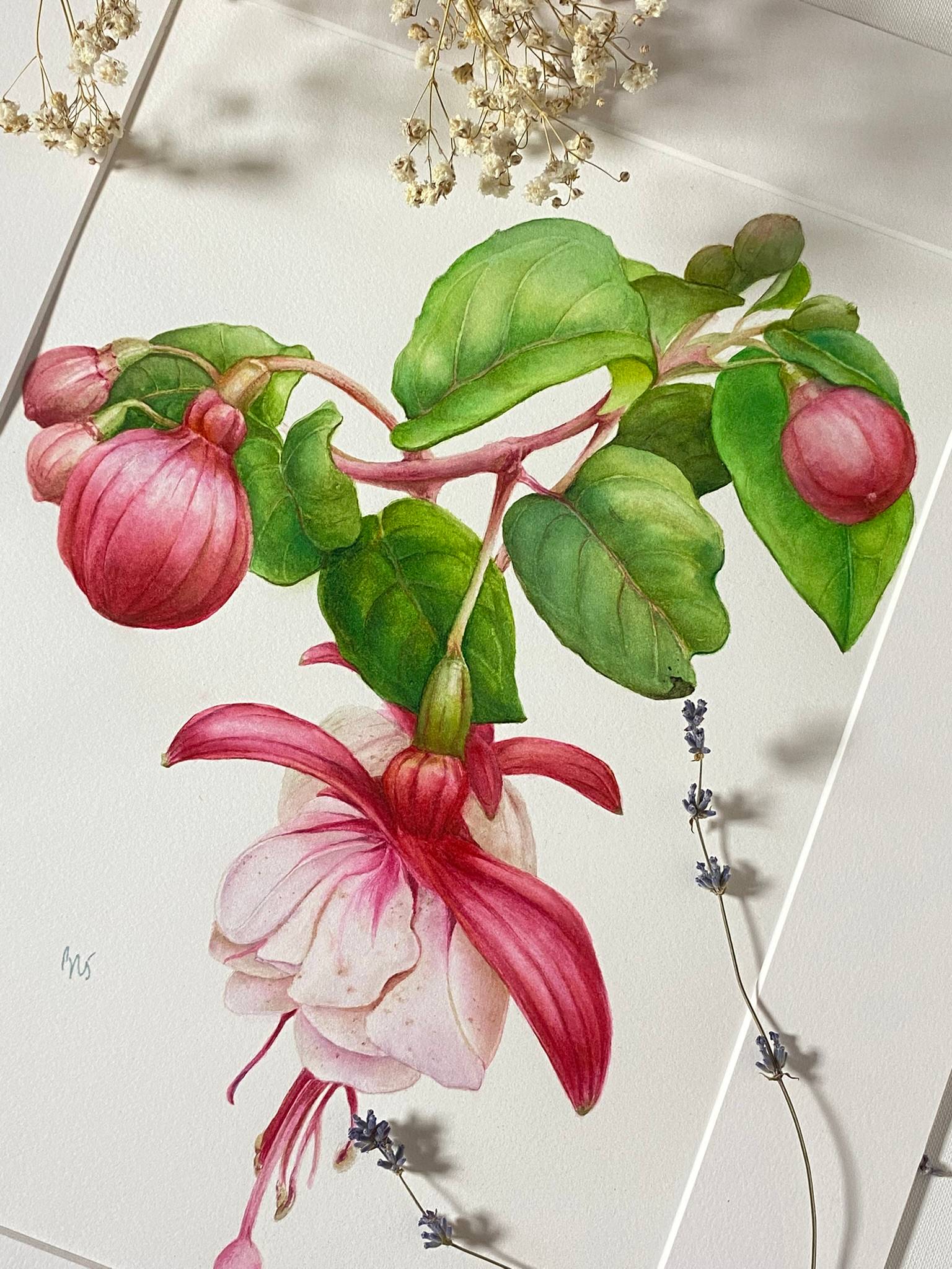 Pink Fuchsia(Pink Flower Green Foliage Happy Vibes) Photorealistic Painting Viktoriia Kolesnykova - Subjektiv.art