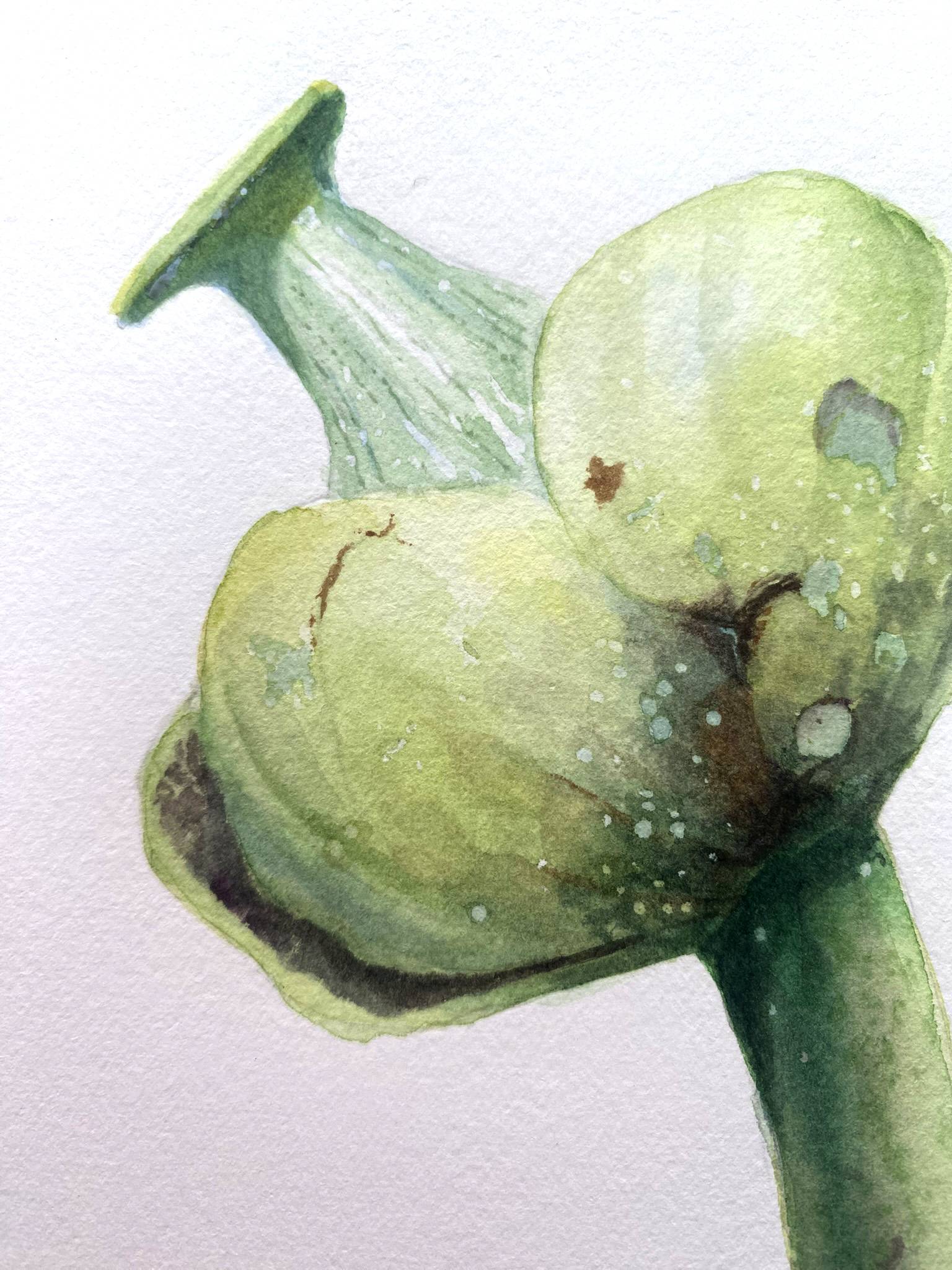 Water Nymph`s Flower. Yellow water-lily aquatic plant, dragonfly Organic Painting Viktoriia Kolesnykova - Subjektiv.art