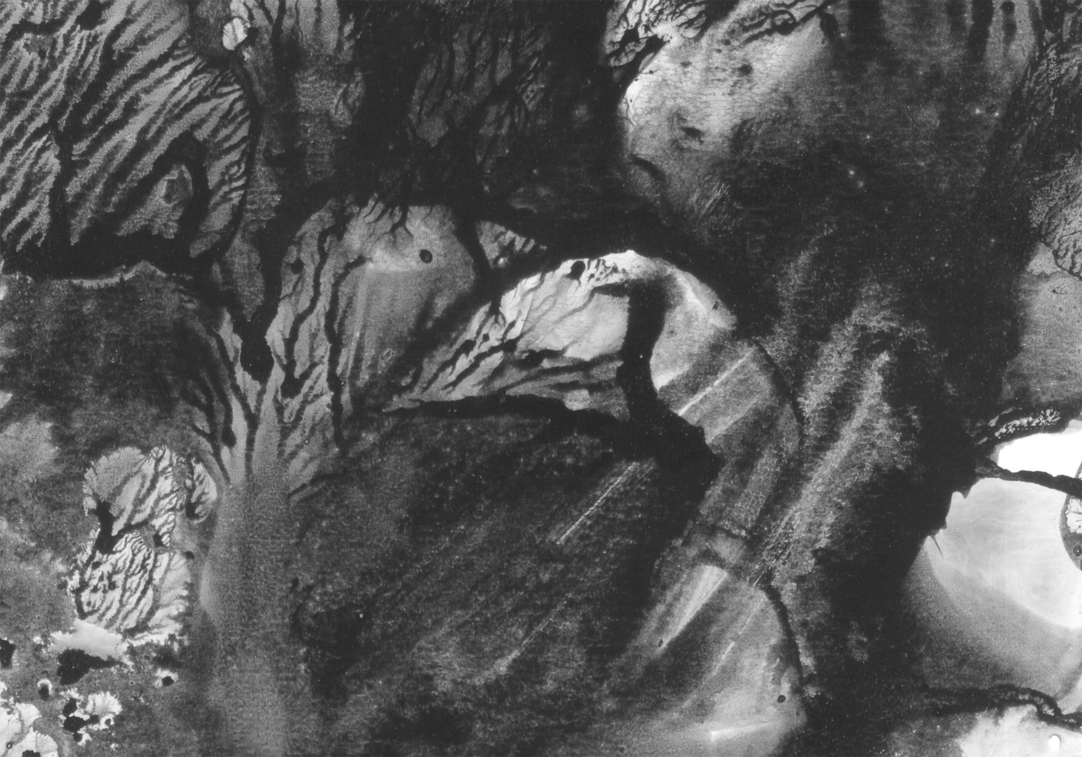 Solar eclipse Fine Art Drawing Lana Korolievskaia - Subjektiv.art