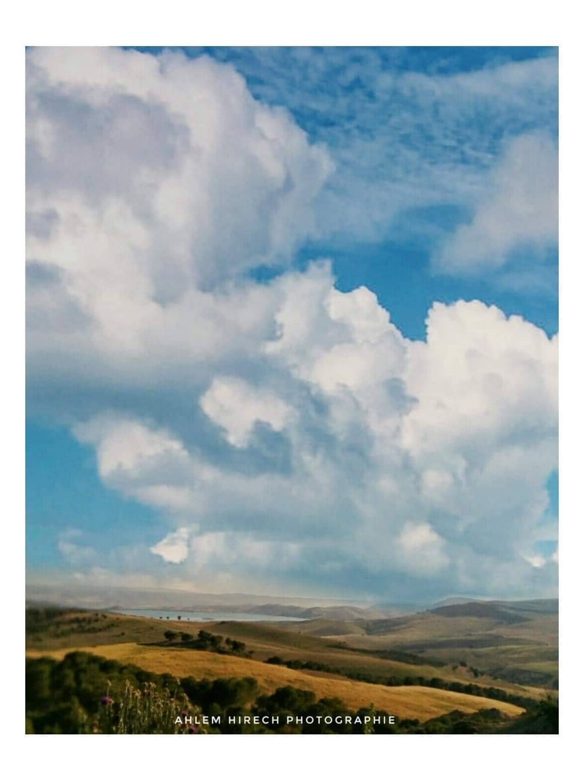 Paysage - Subjektiv.art