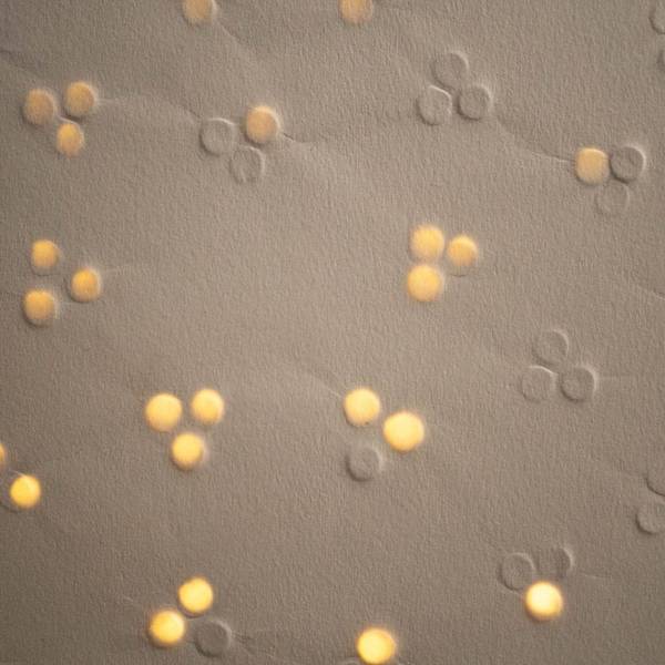 Silent Loneliness Unspecified Mixed media Serhii Filonenko - Subjektiv.art