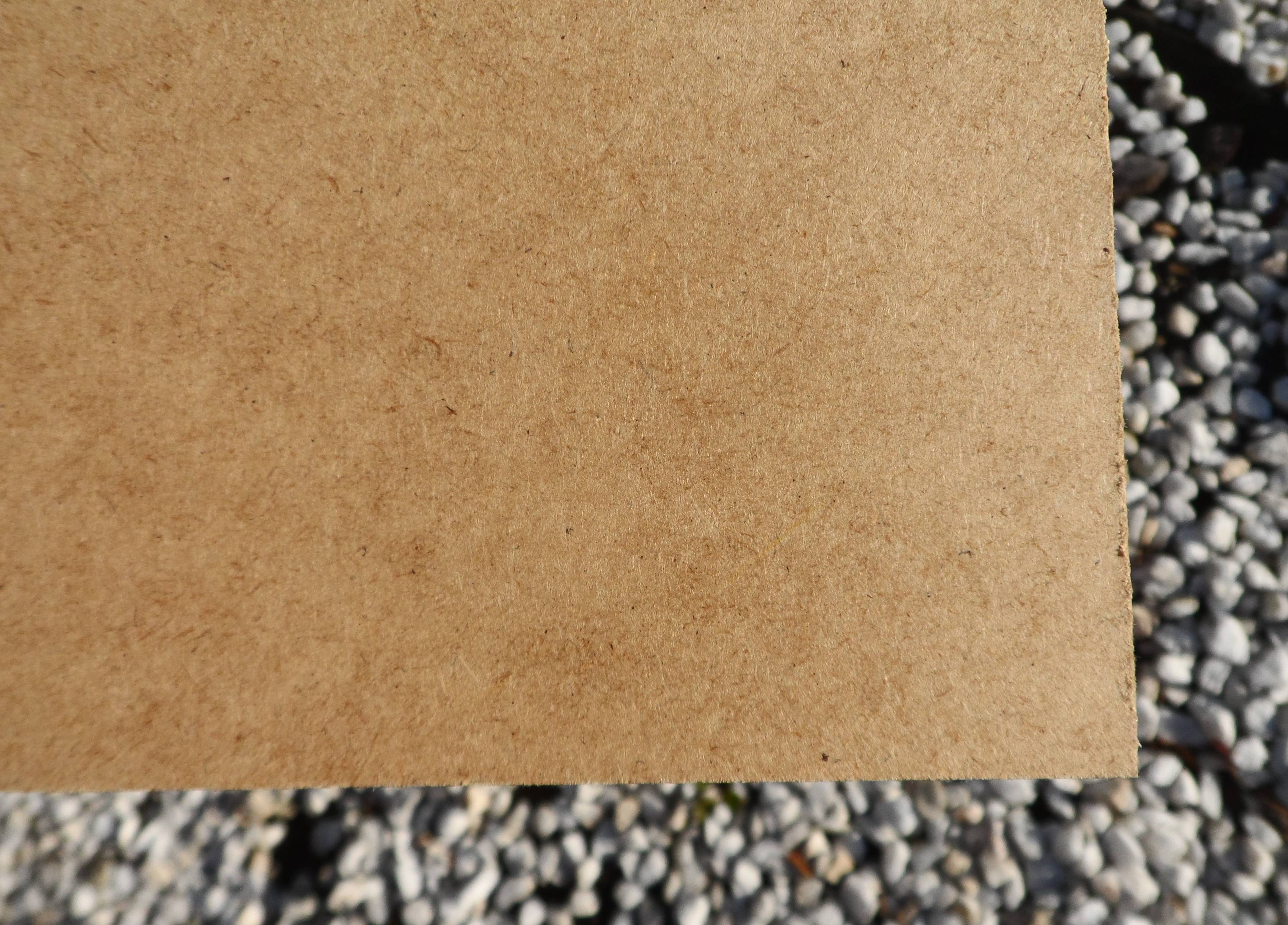 " Pumpkin " Impressionistic Painting Yehor Dulin - Subjektiv.art