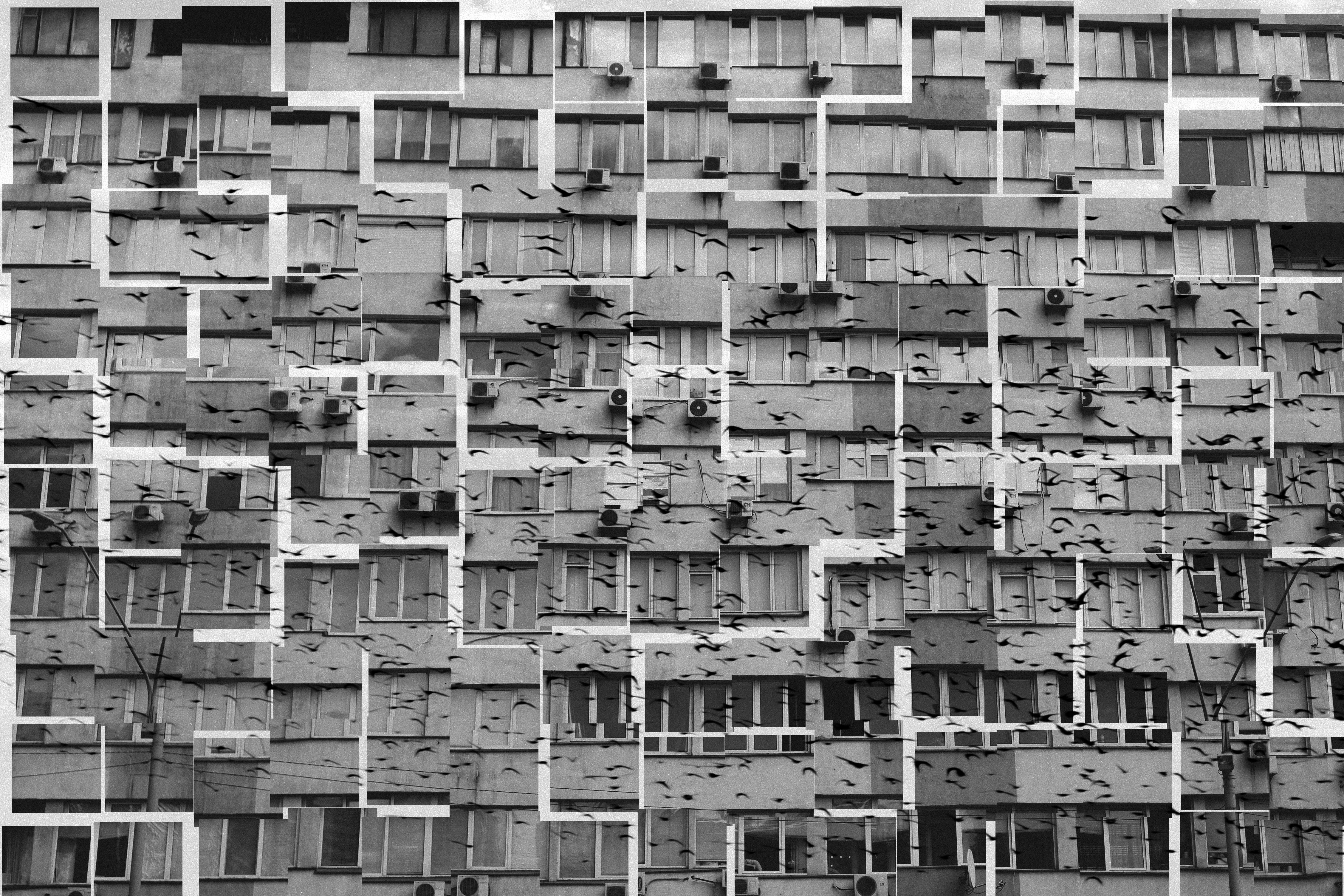 muddle in the head Collage Mixed media Valerii Lavrovskyi - Subjektiv.art