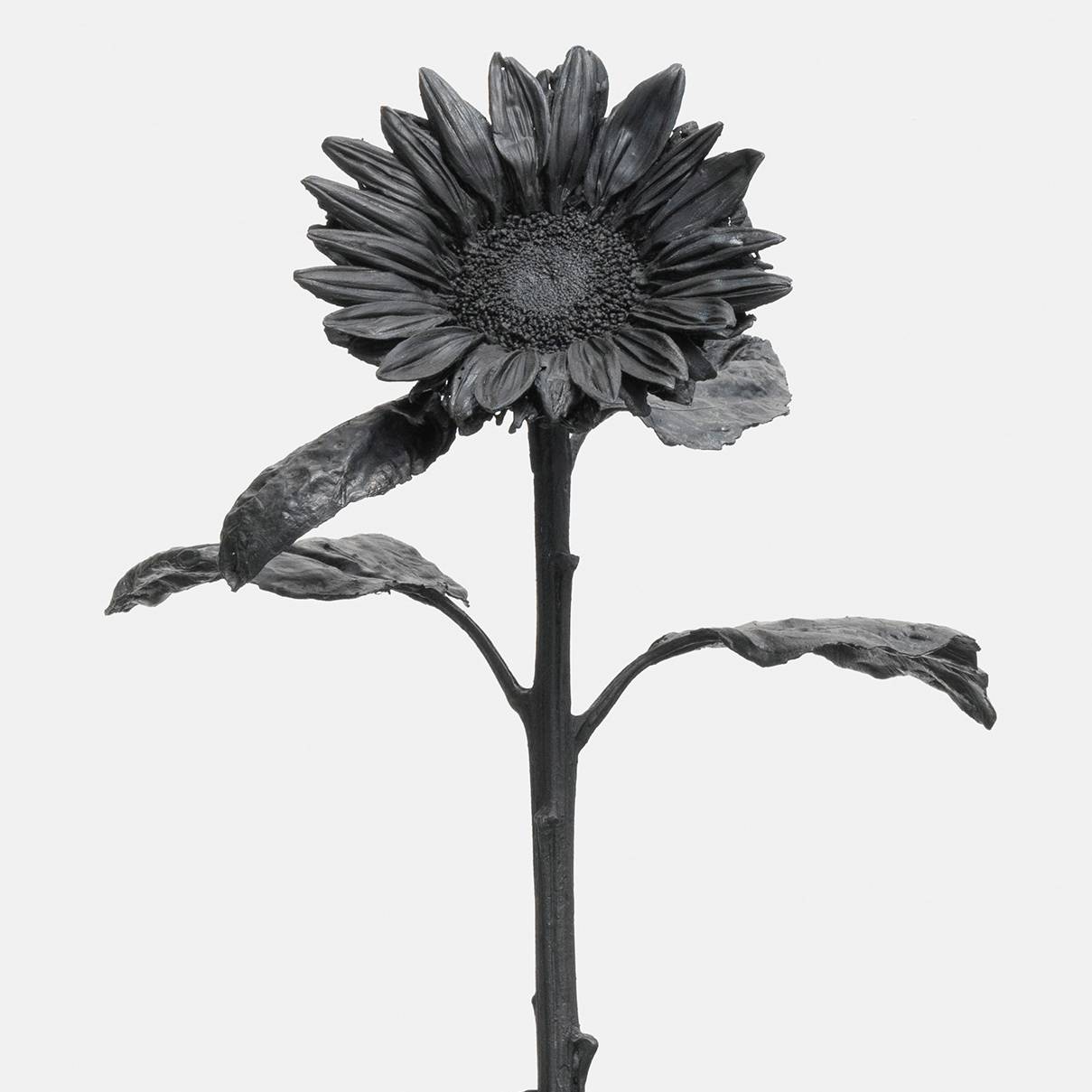 Bringing the flowers to you Fine Art Sculpture João Motta Guedes - Subjektiv.art