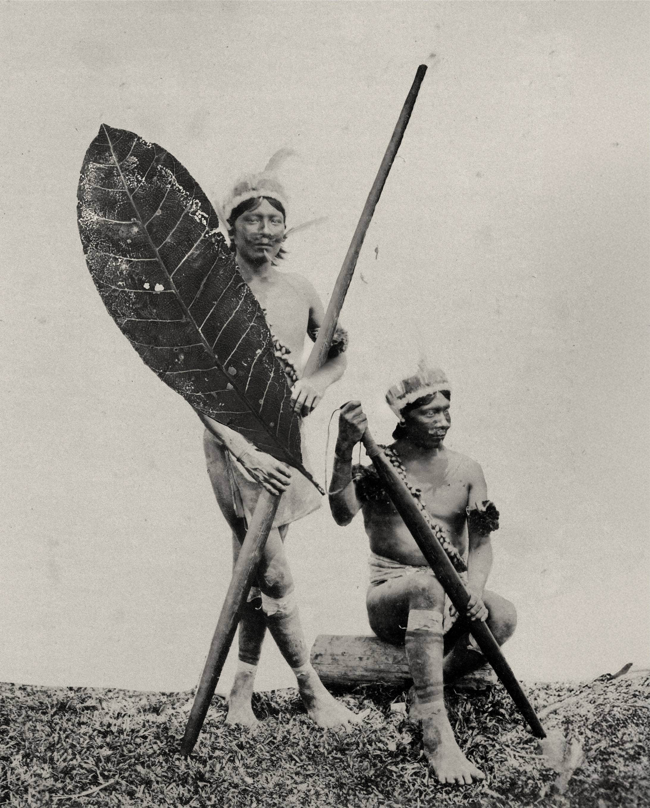 Gigantica Amazonica #15 Fine Art Drawing Marcelo Moscheta - Subjektiv.art