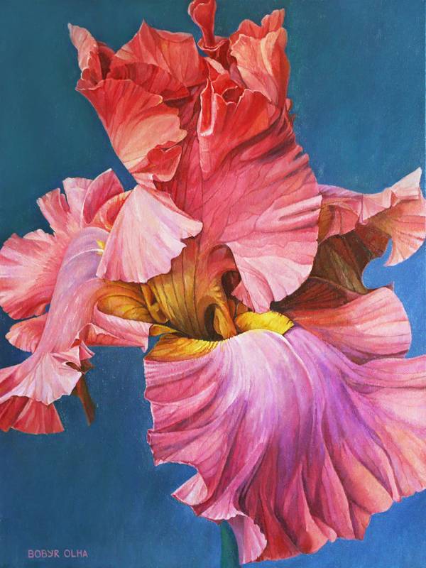 IRISES  - Subjektiv.art