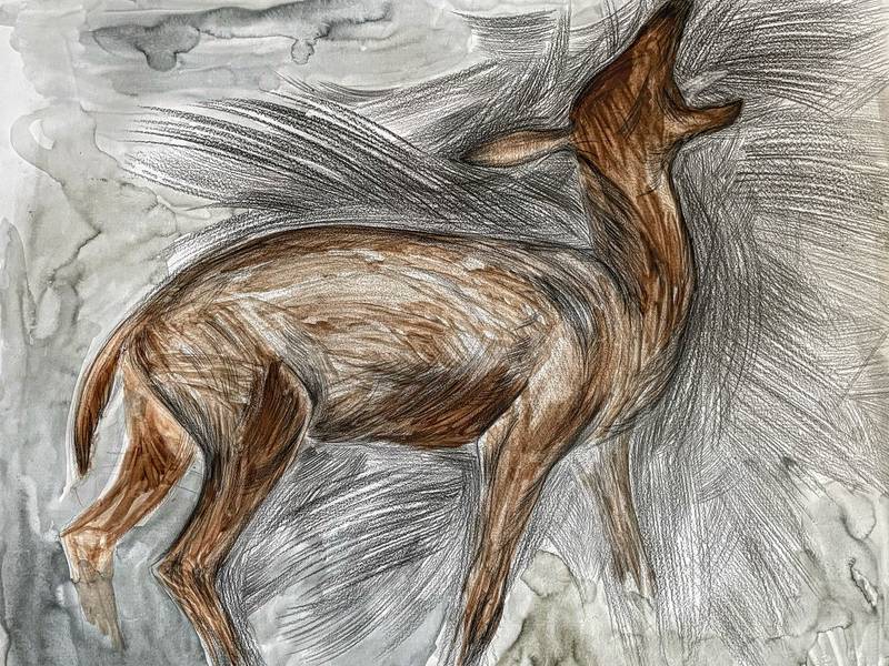 Crying deer Expressive and gestural Drawing Anastasiia Pustovarova - Subjektiv.art
